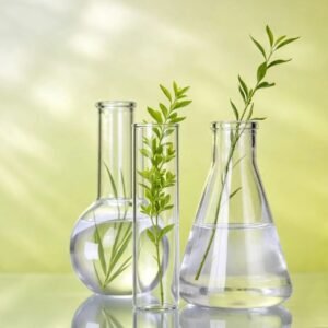 Plant Extracts